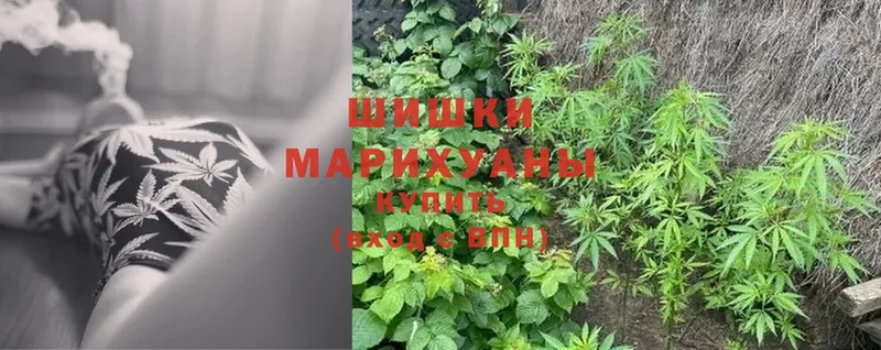 Бошки марихуана LSD WEED  Бобров 